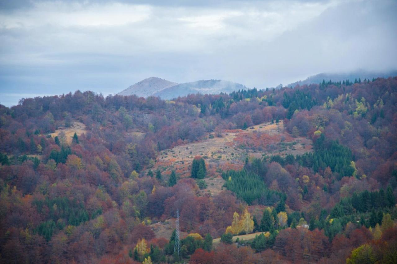 Kophill L36 Milmari Apartment Kopaonik Luaran gambar